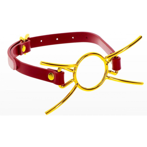 Кляп-кольцо Taboom Open Mouth Spider Gag