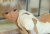 Real Doll - Секс-кукла Ally