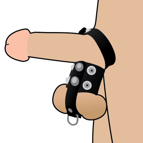 Ерекційне кільце Wild Play Cock And Ball Strap C20