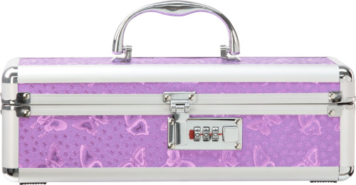 Powerbullet - Lockable Vibrator Case Purple - кейс для хранения секс-игрушек с кодовым замком (фиолетовый) - sex-shop.ua