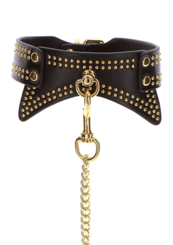 Нашийник з повідцем Taboom Studded Collar and Leash