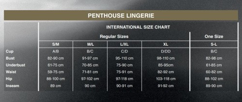 Penthouse Hot Nightfall - Бодістокінг з вирізом на животику, XL (чорний)