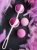 Gvibe Geisha Balls 2 - кульки гейші для тренування інтимних м'язів, 3 см (рожевий)