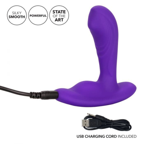CalExotics Remote Pinpoint Pleaser - вибромассажер простаты, 7,25х3,25 см