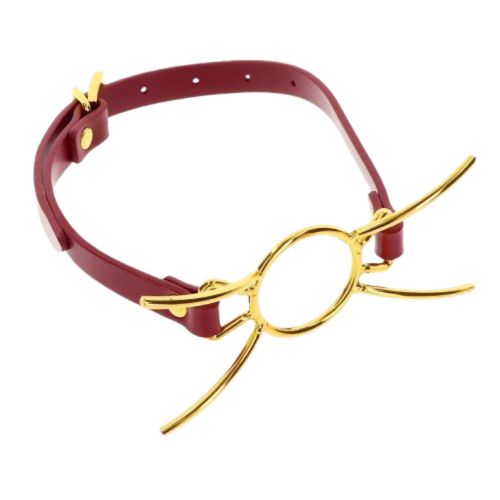 Кляп-кольцо Taboom Open Mouth Spider Gag