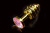 Пикантные Штучки - Витая золотистая анальная пробка с кристаллом малая, 7,5х2,7 см (розовый) - sex-shop.ua