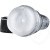 Fleshlight Ice Butt Crystal мастурбатор анус в  полупрозрачном корпусе, 25 см