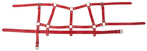 Bad Kitty Harness Set - red - БДСМ набор из 4 предметов, S-L (красный) - sex-shop.ua