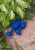 Gvibe Gplug - Маленькая дизайнерская анальная пробка с вибрацией, 8х2.8 см (синий) - sex-shop.ua