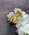 Boss Jewellery Gold Heart Plug Black - Анальная пробка с кристаллом, 7х2,7 см (черный)