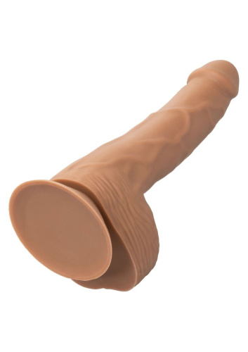 California Exotic Novelties Silicone Studs 8 - Фалоімітатор, 20.25 x 4.5 см (коричневий) - купити в Україні | Секс шоп SEX-SHOP.ua