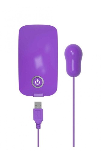 Виброяйцо Energy Pack With Usb Bullet, 5,5х3 см (фиолетовый) - sex-shop.ua