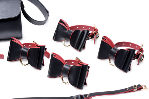 Master Series Bow - набор БДСМ аксессуаров с дорожной сумкой