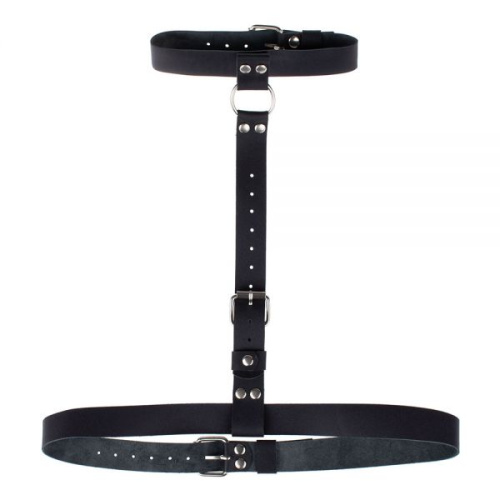 Double Ring of Humiliti Smooth, Black - Портупея, 41 см (черный) - sex-shop.ua