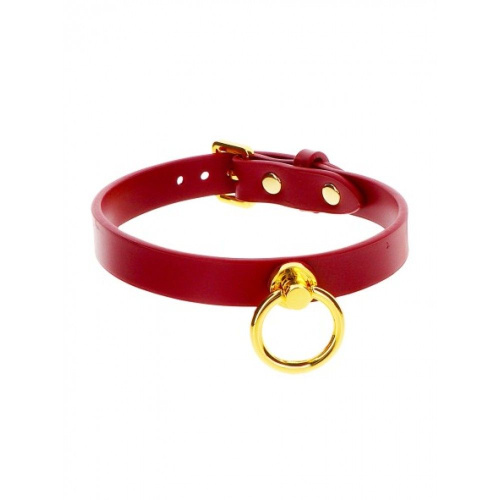 Ошейник с кольцом и поводком Taboom O-Ring Collar and Chain Leash