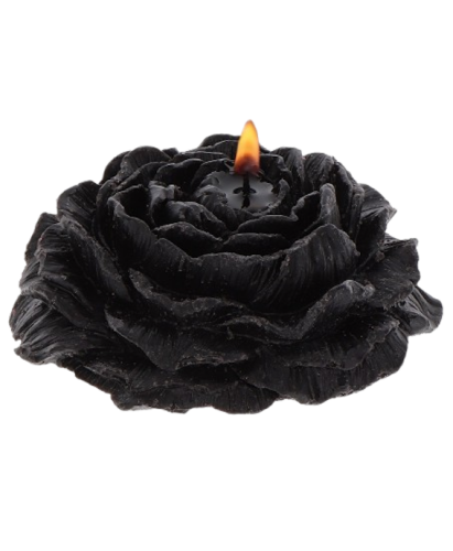 Taboom Rose Japanese Candle 2pcs -Набiр свiчок, 2 шт - купити в Україні | Секс шоп SEX-SHOP.ua
