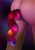 Анальна пробка з хвостом Taboom Unicorn Tail & Buttplug - купити в Україні | Секс шоп SEX-SHOP.ua