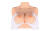 Мастурбатор Kokos Bouncing Titties D