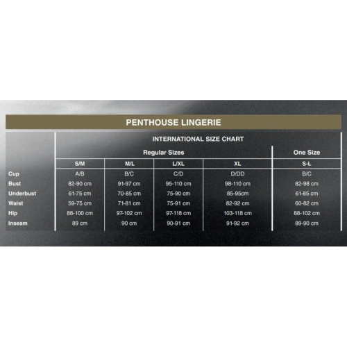 Penthouse Double Spice - Комплект браллет и стринги, M/L (чёрный) - sex-shop.ua