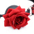 Master Series - Кляп силіконовий з трояндою, 4,3 см (чорний з червоним)