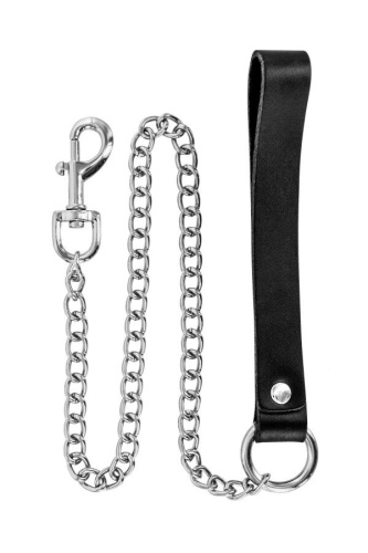 Повідець Fetish Tentation Premium Metal Leash, 72 см - купити в Україні | Секс шоп SEX-SHOP.ua