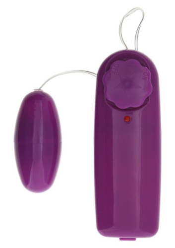 Toy Joy Fantastic Purple Sex Toy Kit - Любовный набор - sex-shop.ua