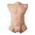 Торс с фаллоимитатором SilexD Apollo L Male Torso