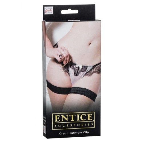 Украшение для половых губ Entice Crystal Intimate Clip - sex-shop.ua