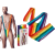 Эротическое мужское боди Rainbow Mankini One Size