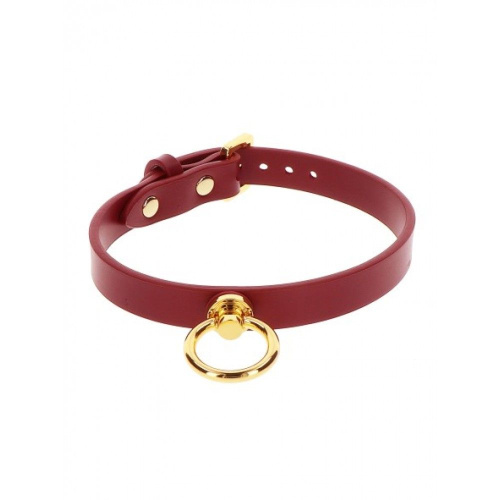 Ошейник с кольцом и поводком Taboom O-Ring Collar and Chain Leash