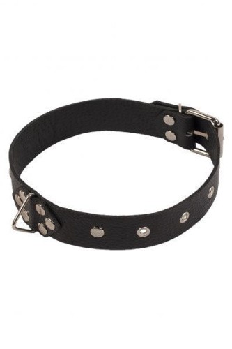 sLash Leather Restraints Collar - вузький шкіряний нашийник, 46 см (чорний)