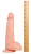 Raging Cockstars Perfect Pecker Paul 7 Inch Realistic Dildo-фалоімітатор на присоску, 19х5 см