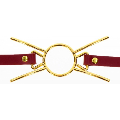 Кляп-кольцо Taboom Open Mouth Spider Gag