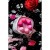 Toyfa Eromantica K-Rose - Набор вагинальных шариков, 16.1х2.8 см (розовый)