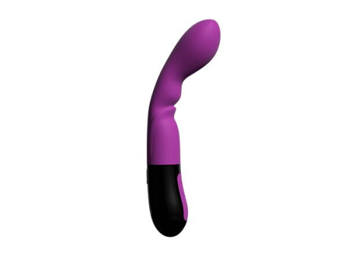Adrien Lastic Nyx 2.0 - Вибратор для стимуляции точки G,  20.7х3.6 см (фиолетовый)