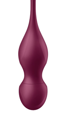 Вагинальные шарики Satisfyer Love Birds Vary App