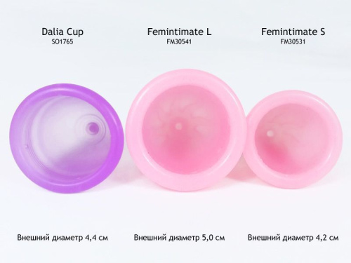 Femintimate Eve Cup размер L - Менструальная чаша с переносным душем, 24 мл - sex-shop.ua