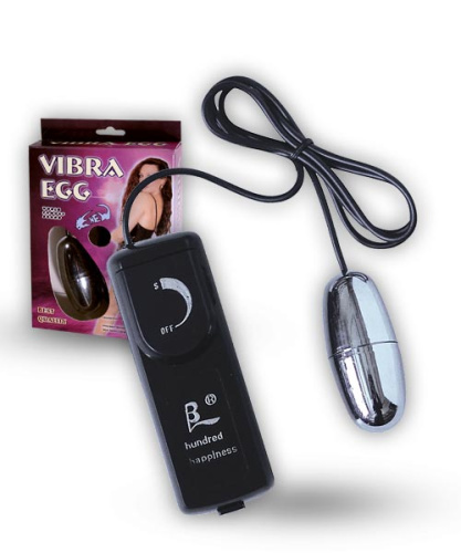 Baile Vibra Egg Silver - Виброяйцо, 5,8 см (серебристый) - sex-shop.ua