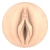 Мастурбатор Fleshlight Fantasy Sasha Nakamoto Ecchi