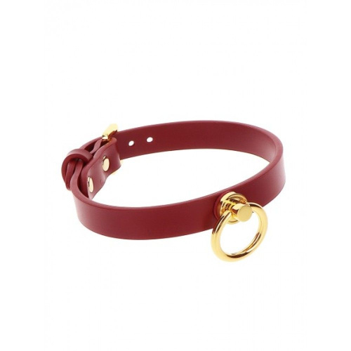 Ошейник с кольцом и поводком Taboom O-Ring Collar and Chain Leash