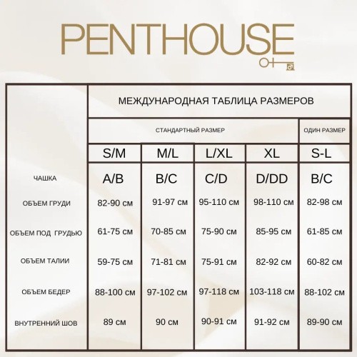 Penthouse - Turned On - Боди с открытой грудью и спиной, M/L (чёрный) - sex-shop.ua