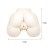 LyBaile Pussy & Anal, Double Tunnels, Vibrat. Eggs - Мастурбатор з вібрацією, 19 см (тілесний) - купити в Україні | Секс шоп SEX-SHOP.ua