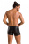 Passion - 049 SHORT MATT black - Сексуальні чоловічі шорти на блискавках, S/M - купити в Україні | Секс шоп SEX-SHOP.ua