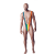 Эротическое мужское боди Rainbow Mankini One Size