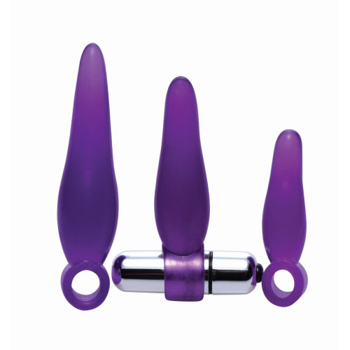 FR Vibrating Finger Rimmer Set - Набор анальных пробок с вибропулей, 3 шт (фиолетовый) - sex-shop.ua